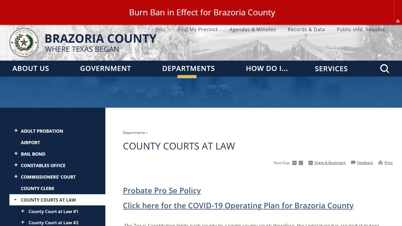 County Courts at Law | Brazoria County, TX